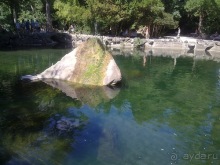 Последние дни в .Ялте