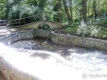 Последние дни в .Ялте