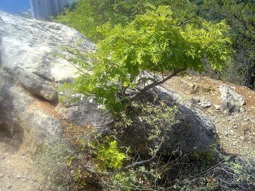 Последние дни в .Ялте