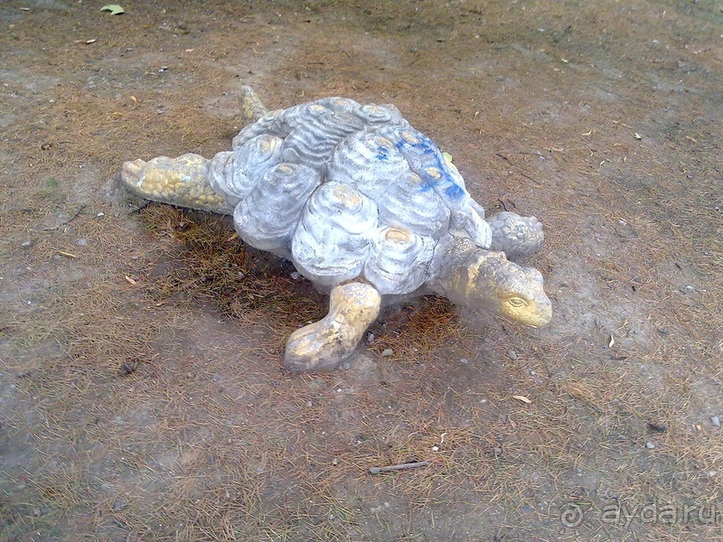 Последние дни в .Ялте