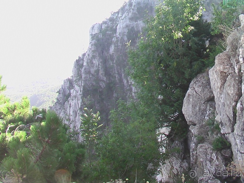 Последние дни в .Ялте