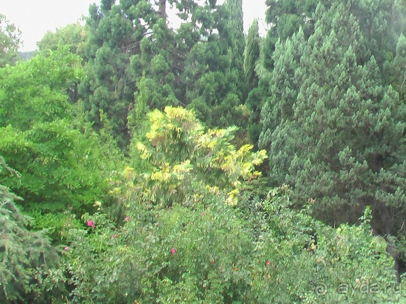 Последние дни в .Ялте