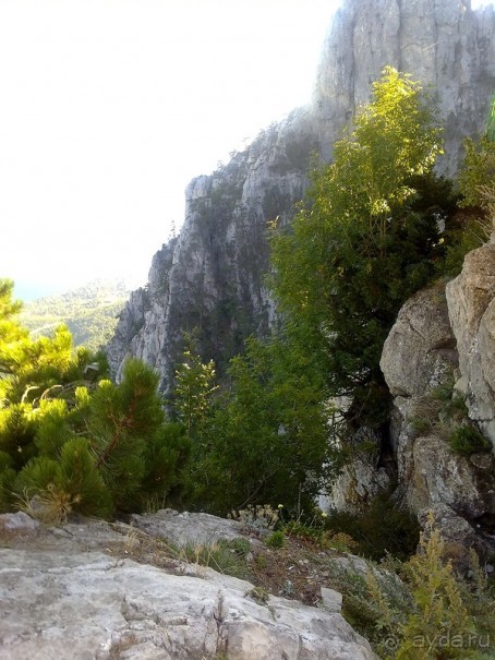 Последние дни в .Ялте