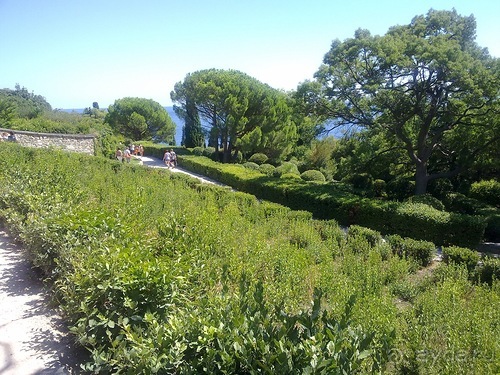 Последние дни в .Ялте