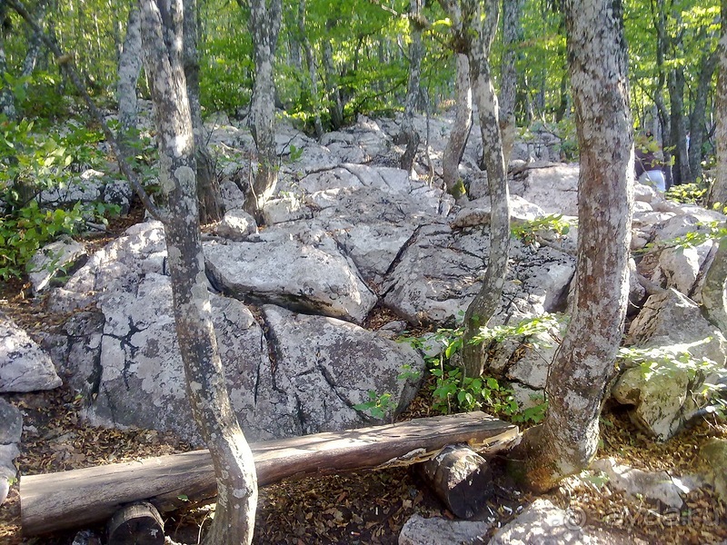 Последние дни в .Ялте