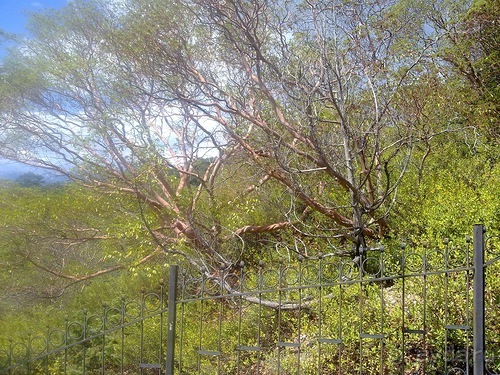 Последние дни в .Ялте