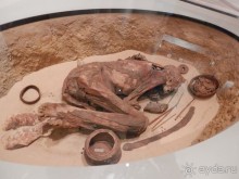 Турин - картинная галерея и египетский музей