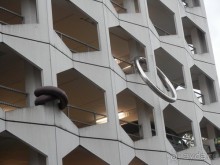 Дюссельдорф - первая средневековая демократия