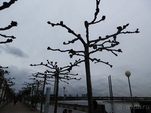 Дюссельдорф - первая средневековая демократия