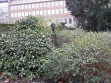 Дюссельдорф - первая средневековая демократия