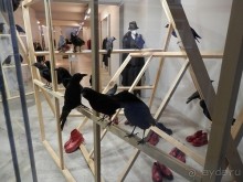 Дюссельдорф - первая средневековая демократия