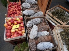 Дюссельдорф - первая средневековая демократия