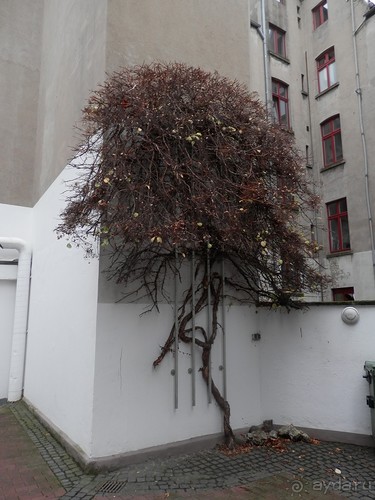 Дюссельдорф - первая средневековая демократия