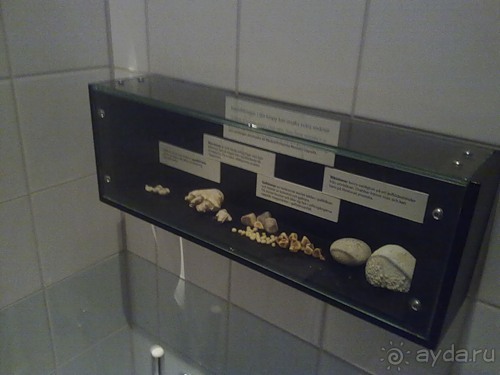 И снова Швеция