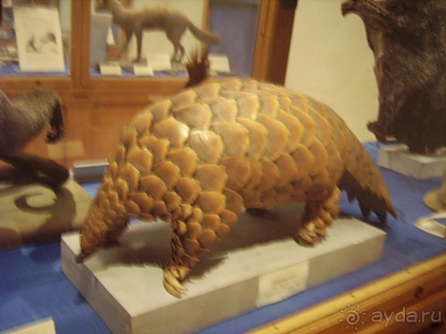 И снова Швеция