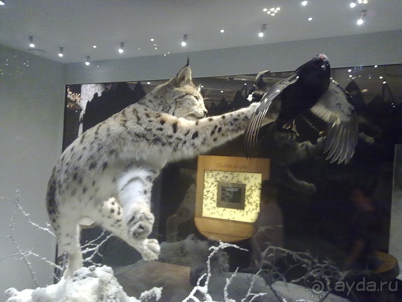 И снова Швеция