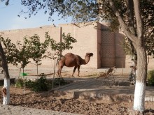 Экскурсия по Хиве, продолжение