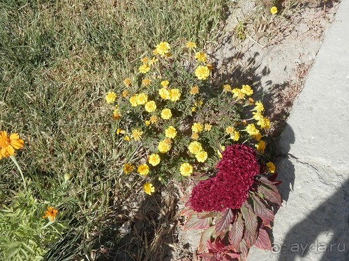 Экскурсия по Хиве, продолжение