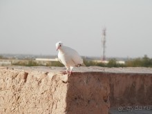 Экскурсия по Хиве, продолжение