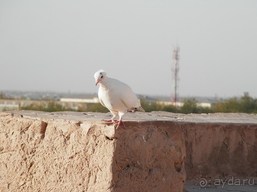 Экскурсия по Хиве, продолжение