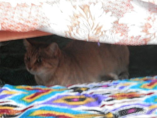 Экскурсия по Хиве, продолжение