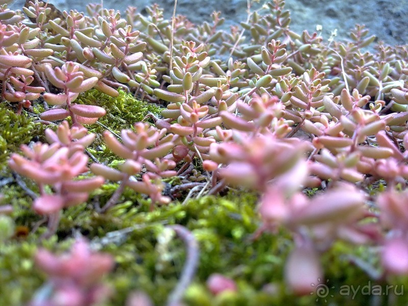 Стокгольм, день первый