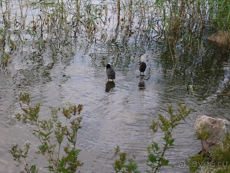 Стокгольм, день первый