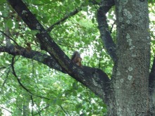 Стокгольм, день первый