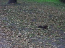 Стокгольм, день первый