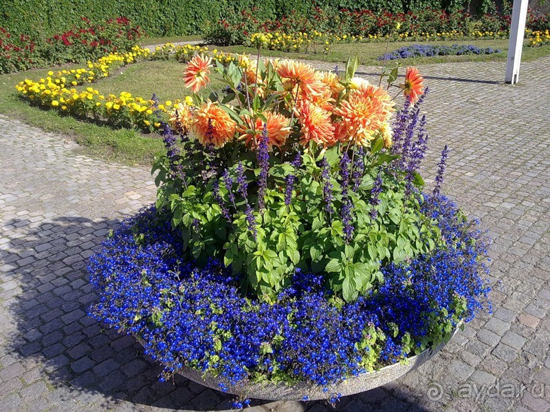 Стокгольм, день первый