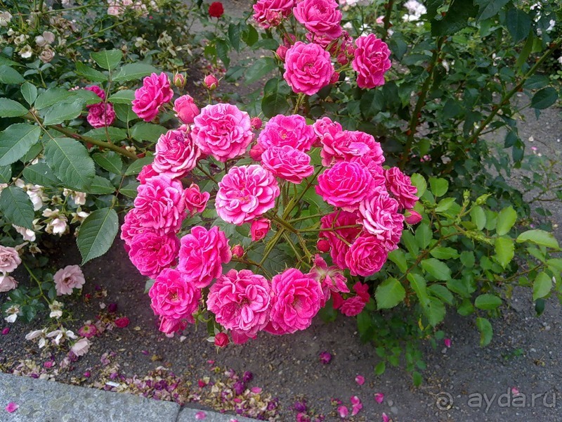 Стокгольм, день первый