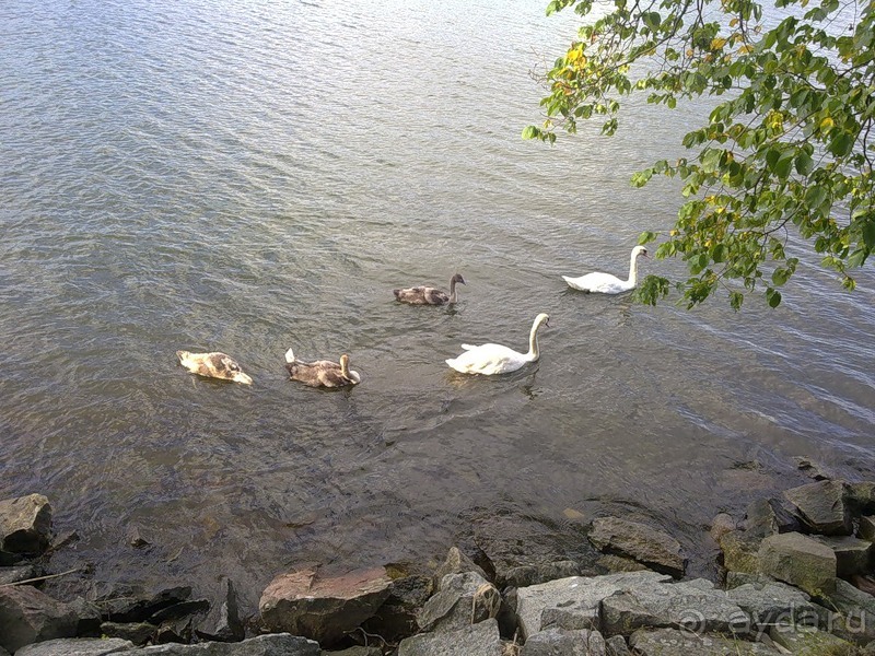 Стокгольм, день первый