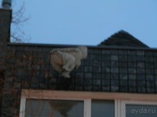 Многоликий Кельн