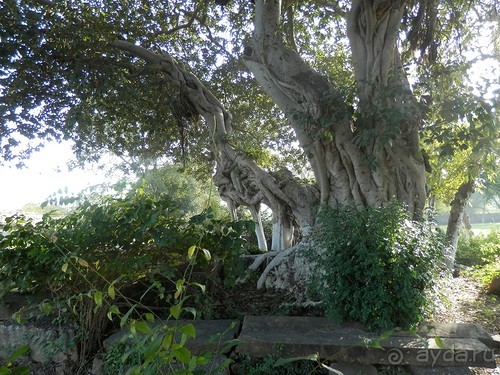 Эротические храмы Кхаджурахо