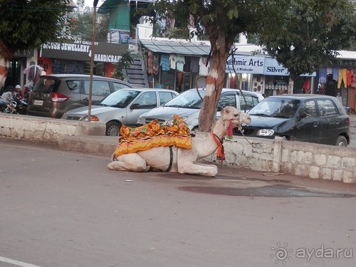 Эротические храмы Кхаджурахо