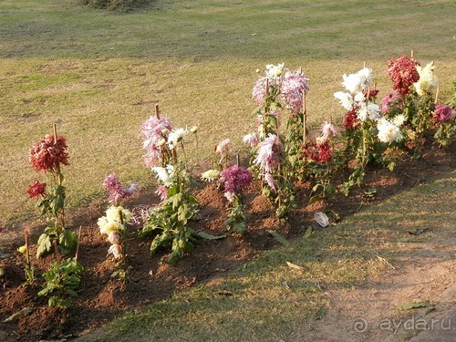 Эротические храмы Кхаджурахо