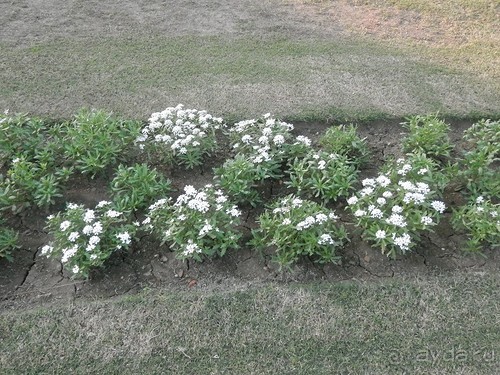 Эротические храмы Кхаджурахо