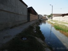 Старый Ташкент