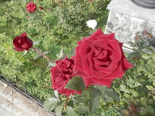 Старый Ташкент