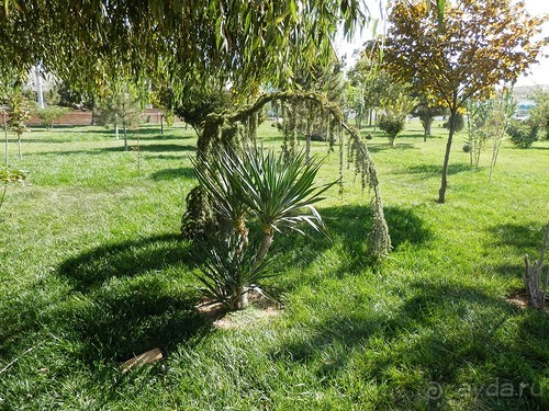 Старый Ташкент