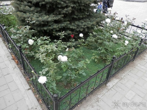 Старый Ташкент