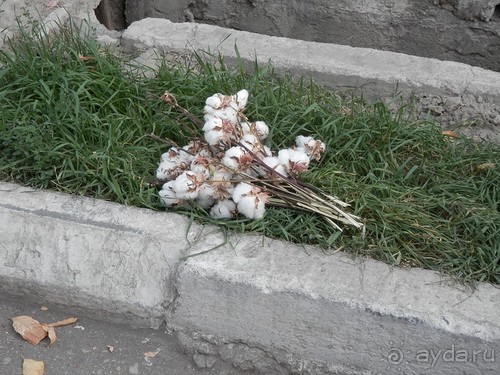 Второй день в Самарканде