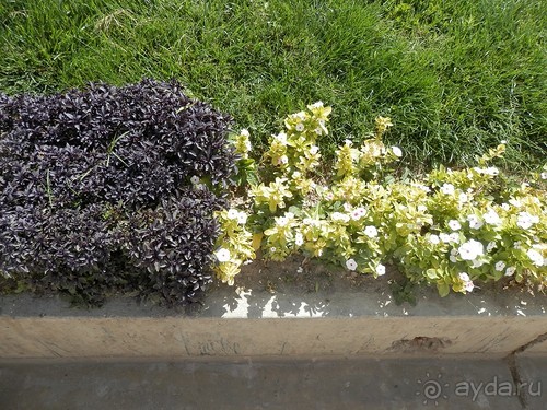 Второй день в Самарканде