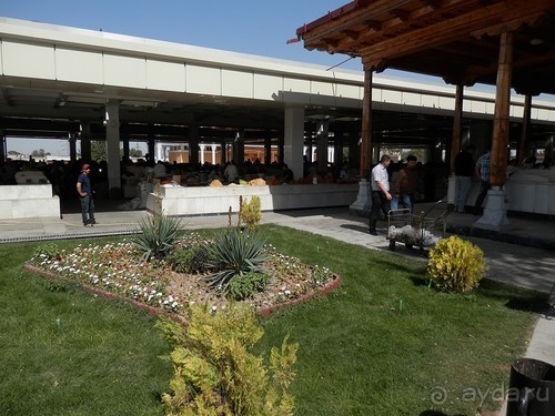 Второй день в Самарканде