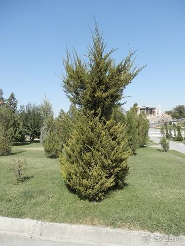 Второй день в Самарканде