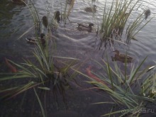 Путешествия кончаются - мы вернулись из Праги