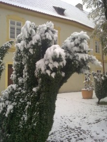 Путешествия кончаются - мы вернулись из Праги