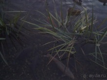 Путешествия кончаются - мы вернулись из Праги