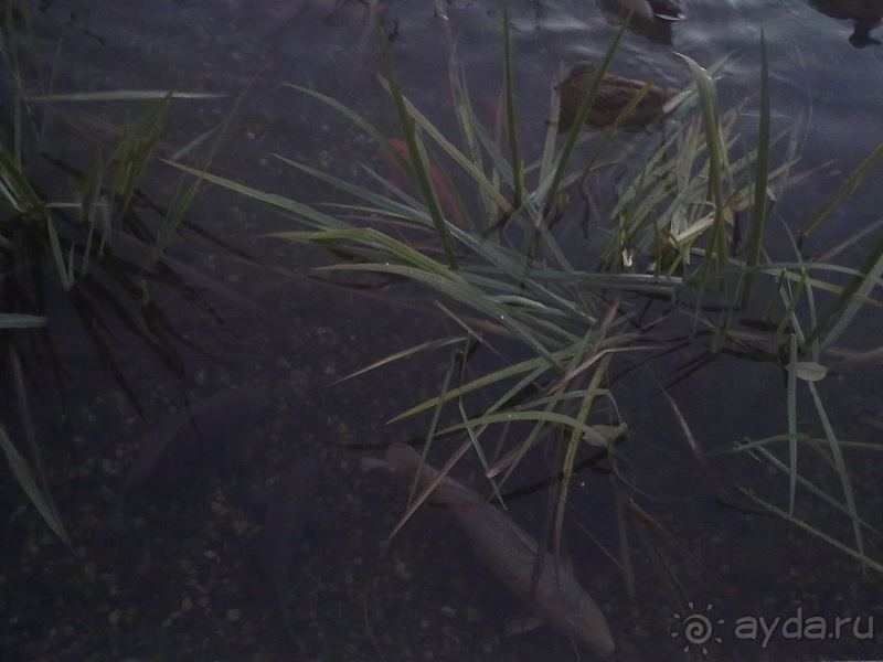 Путешествия кончаются - мы вернулись из Праги