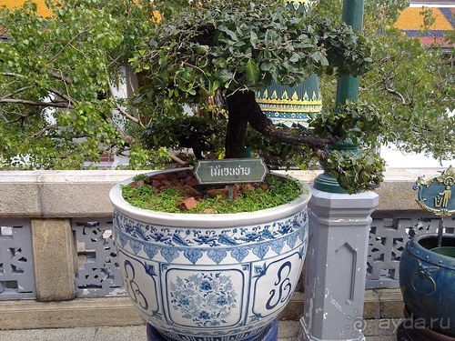 Ура! Отпуск, Таиланд